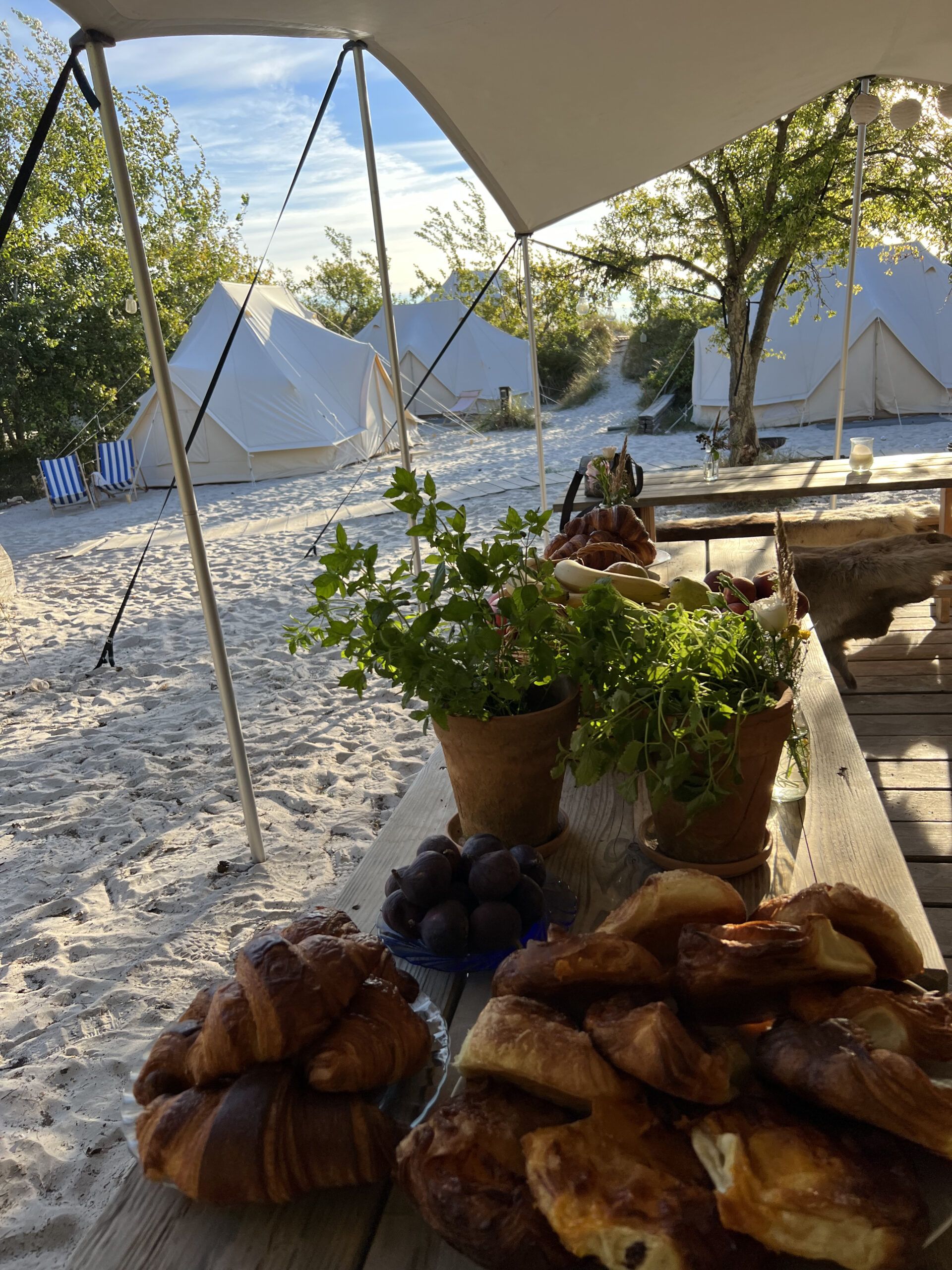 Svaneke brød, på Eco Beach camp. Food studio event med lækker glamping oplevelse